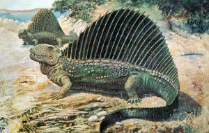 animales de las distintas eras geológicas: el paleozoico