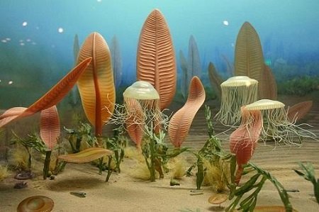 fauna marina del eón proterozoico