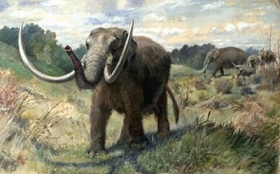 mastodonte periodo cuaternario fauna